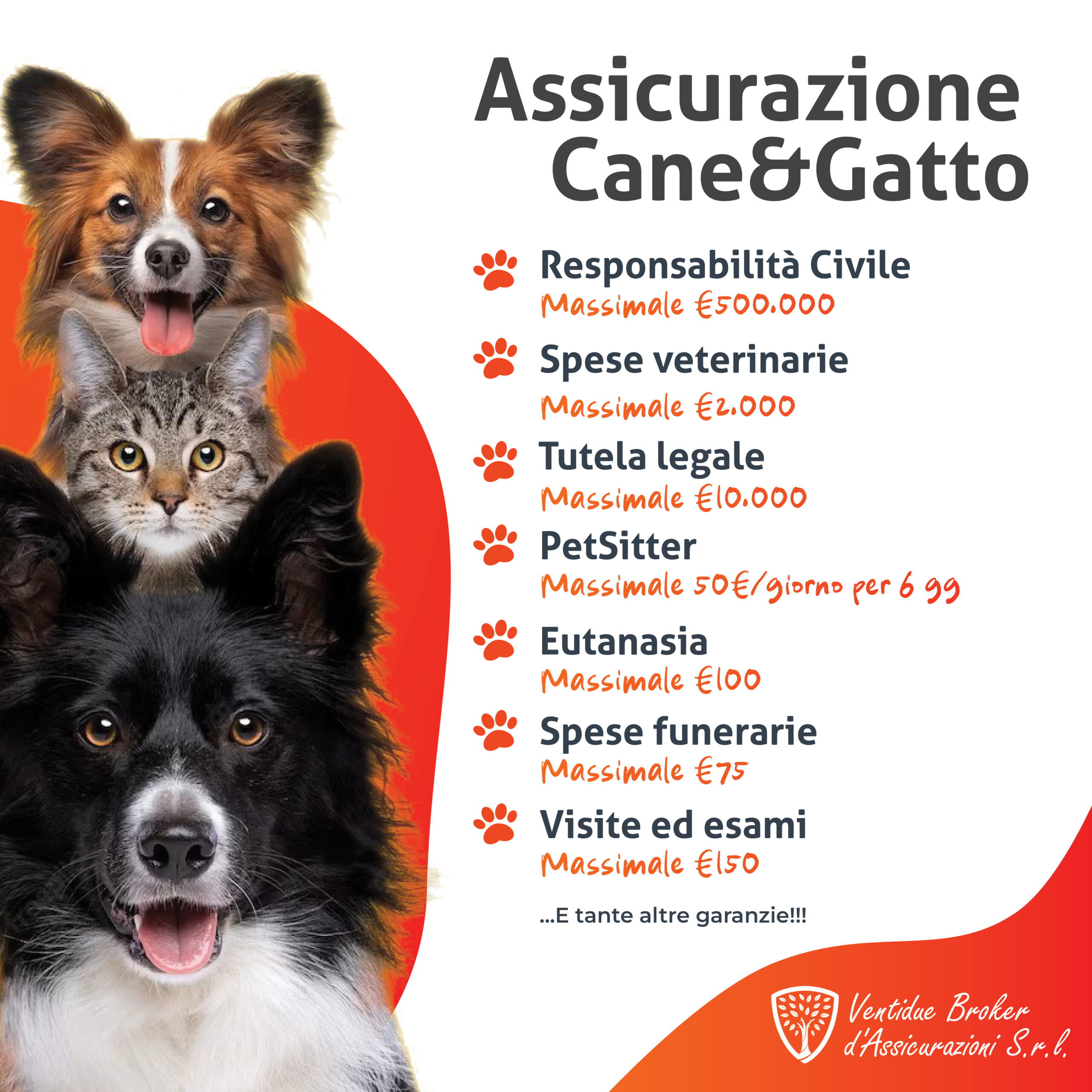 Cane e Gatto 2023